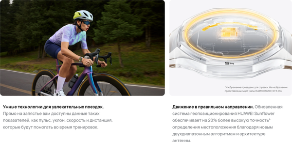 Изображение товара Умные часы Huawei Watch GT 6 41mm / 55020FVW (золотой миланский ремешок)