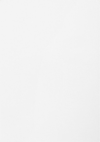 Изображение товара Набор белого картона Пифагор 127049 (8л)