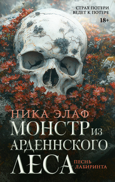 Художественная книга АСТ Монстр из Арденнского леса. Песнь лабиринта, твердая обложка (Элаф Ника) — фото 5
