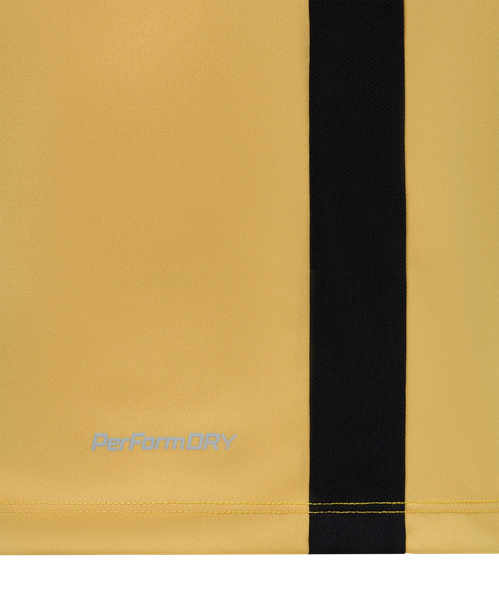 Изображение товара Футболка игровая футбольная Jogel Division PerFormDRY Element Jersey (золотой Y2, L)