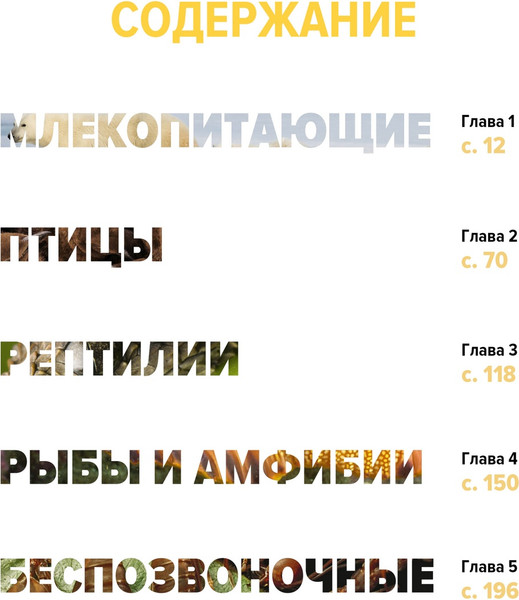 Изображение товара Энциклопедия Махаон Тайны животных, твердая обложка (Бертонатти Клаудио, Перейра Хавьер А.)