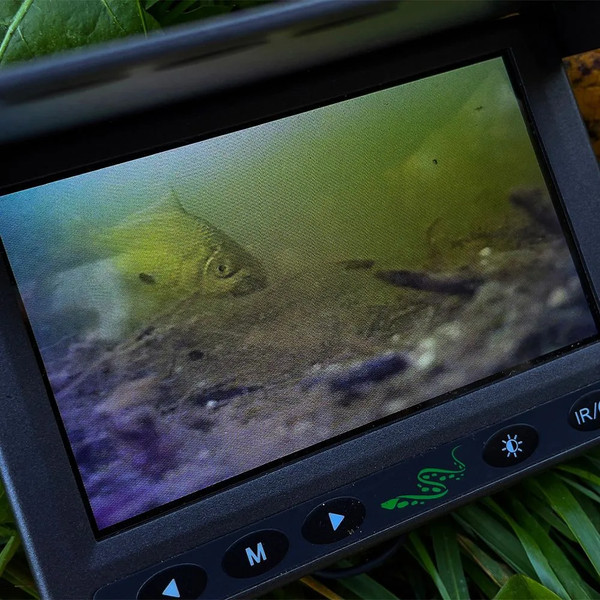 Изображение товара Подводная камера ПрактиК Murena Mini v2 20м (без записи, карманный размер)