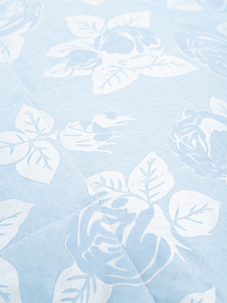 Изображение товара Подушка для сна BIO-LINE С гречневой лузгой 40x60 / PG (голубой)