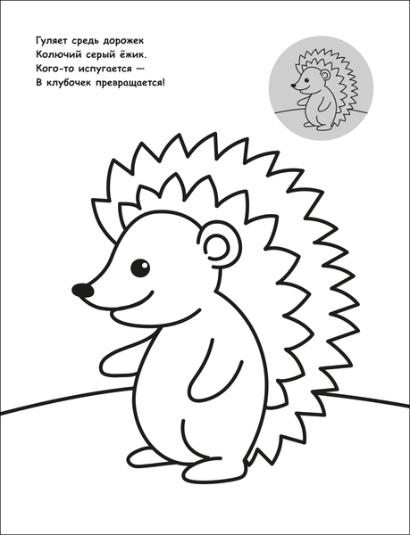 Изображение товара Раскраска Мозаика-Синтез Для малышей с наклейками. В лесу / МС14575