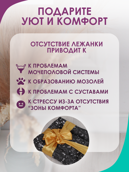 Изображение товара Лежанка для животных BIO-LINE 40x50x15 / LDZ (черный)