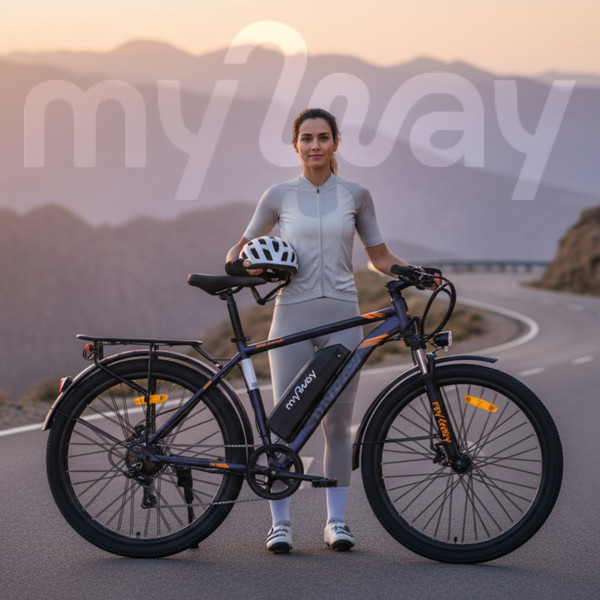 Изображение товара Электровелосипед MyWay Rock 350 Max 27.5 (19, графитовый матовый)