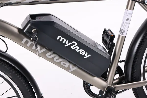 Изображение товара Электровелосипед MyWay Let 240 Max 26 (19, бронзовый)