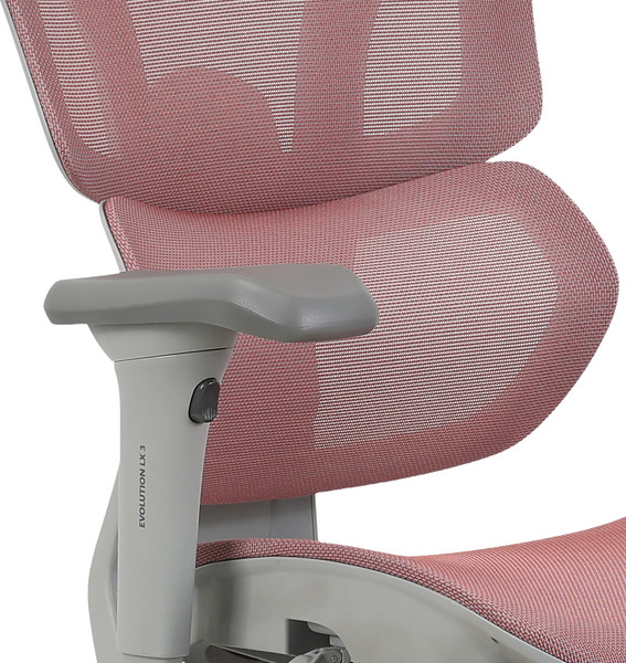Изображение товара Кресло офисное Evolution LX 3 (бургунди)
