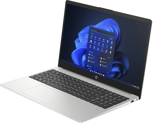 Изображение товара Ноутбук HP 250 G10 (725G7EA)