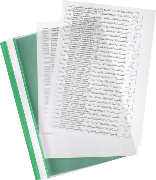 Изображение товара Набор скоросшивателей Staff 271951 (8шт)