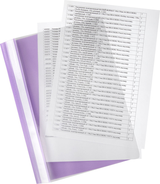 Изображение товара Набор скоросшивателей Staff 271952 (8шт)