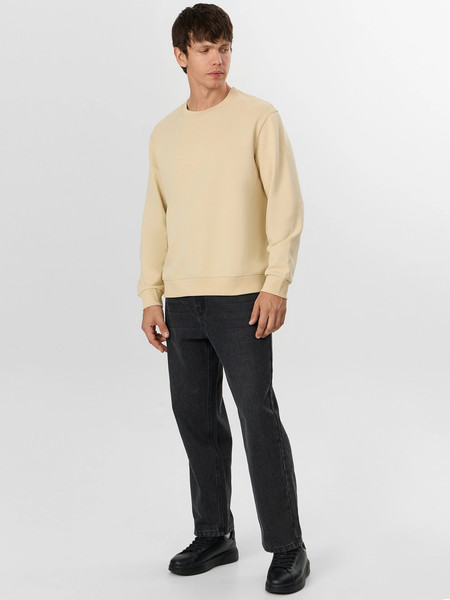 Изображение товара Свитшот Mark Formelle 121939 (р.104-182/188, холодный бежевый)