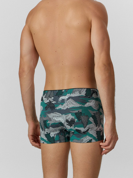 Изображение товара Трусы мужские Mark Formelle 411134 (р.82-92, дикая охота на темно-зеленом)