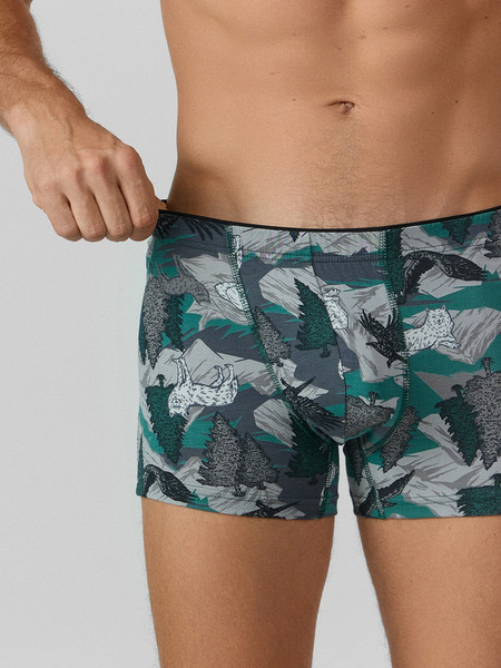 Изображение товара Трусы мужские Mark Formelle 411134 (р.90-100, дикая охота на темно-зеленом)