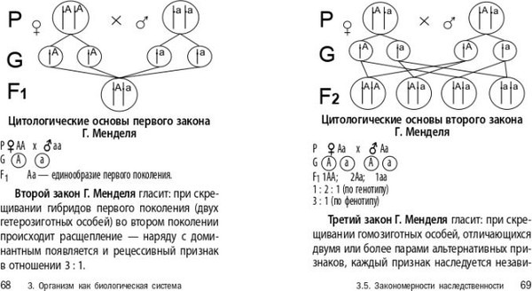 Изображение товара Учебное пособие Эксмо Биология, мягкая обложка (Никитинская Татьяна)