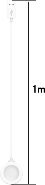 Изображение товара Зарядный кабель Bingo Huawei 3 Pro/GT 3 Pro/D/Runner/3/3/3 Pro/2 Pro/2 Pro ECG Fixed (белый)