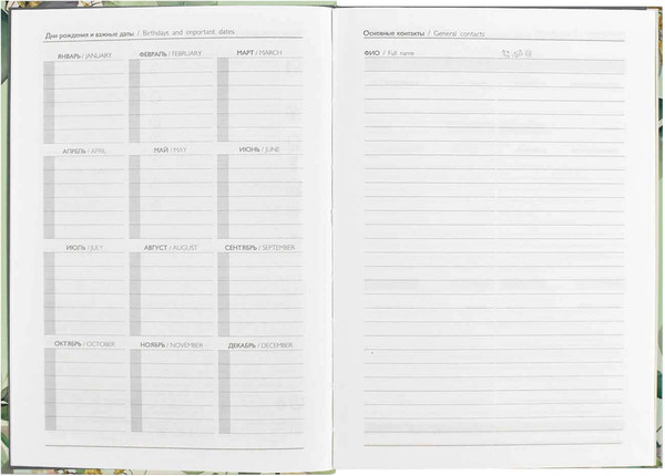 Изображение товара Ежедневник Феникс+ Diary. Весенние ветви / 64337