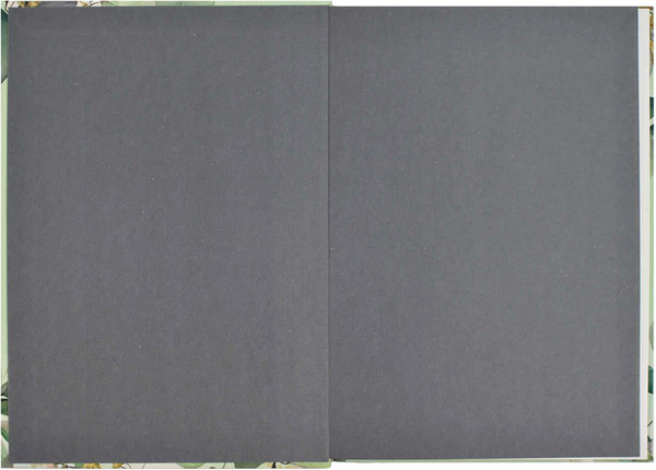 Изображение товара Ежедневник Феникс+ Diary. Весенние ветви / 64337