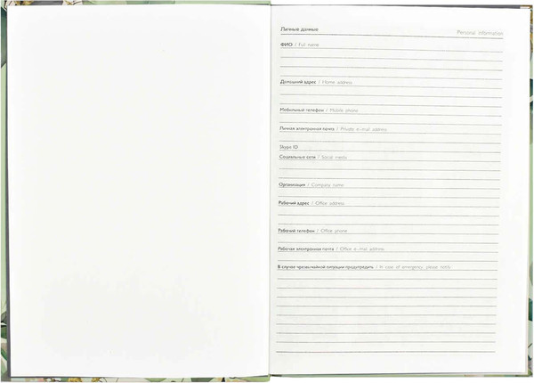 Изображение товара Ежедневник Феникс+ Diary. Весенние ветви / 64337