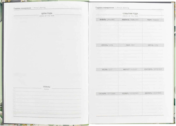 Изображение товара Ежедневник Феникс+ Diary. Весенние ветви / 64337