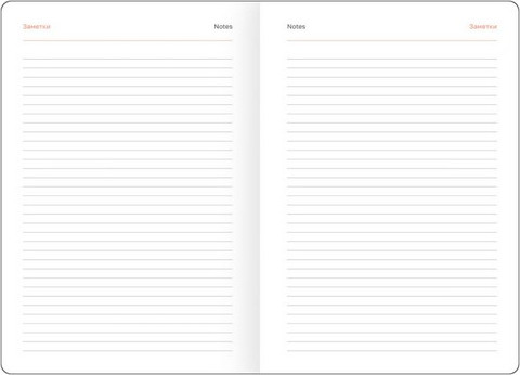 Изображение товара Ежедневник BG Орел А5 / DdА5_09308 (176л)