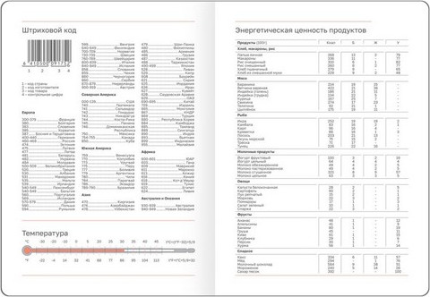 Изображение товара Ежедневник BG  Winner. Light teal А6 / DdА6_09352 (176л)
