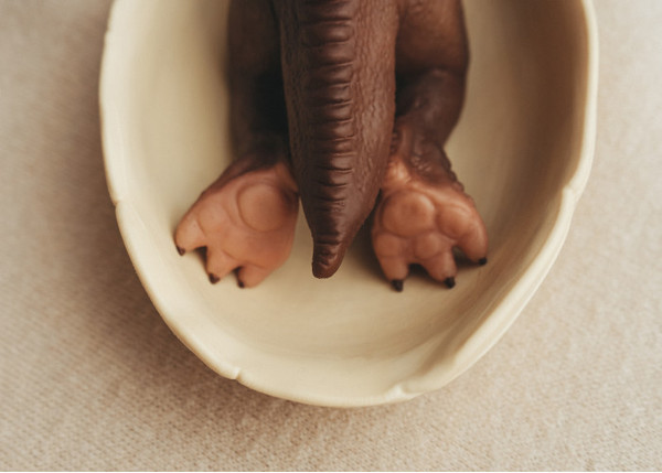 Изображение товара Фигурка коллекционная Magic Manufactory Dino Динозавр Тираннозавр (серый)