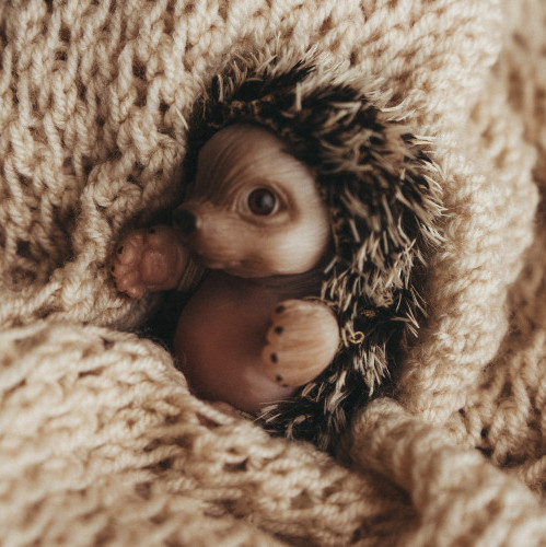 Изображение товара Фигурка коллекционная Magic Manufactory Forest Еж (бежевый)