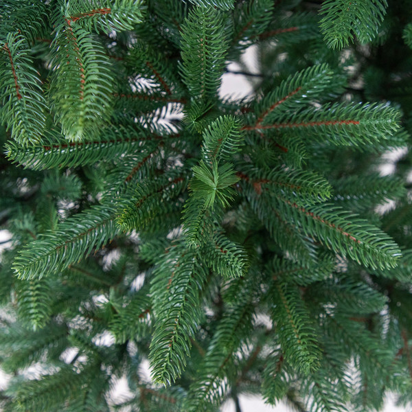 Изображение товара Ель искусственная National Tree Company Изящная 240см / NWPE-LE240