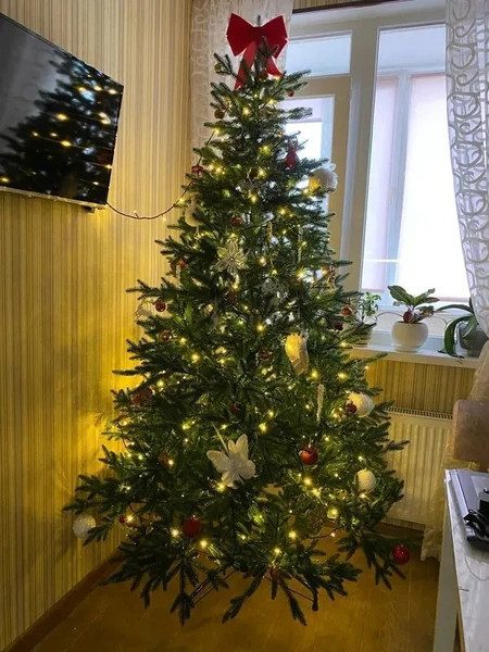 Изображение товара Ель искусственная National Tree Company Авелина 180см / АВ-180