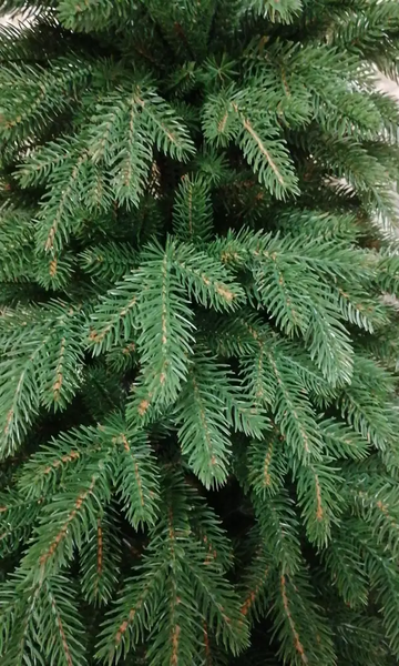 Изображение товара Ель искусственная National Tree Company Дворянская Премиум 185см / Двр-185