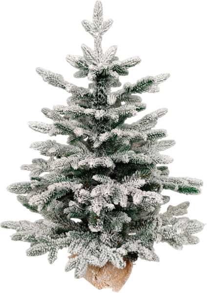 Изображение товара Ель искусственная National Tree Company Венера заснеженная 65см / ВНР/ЗСН-65