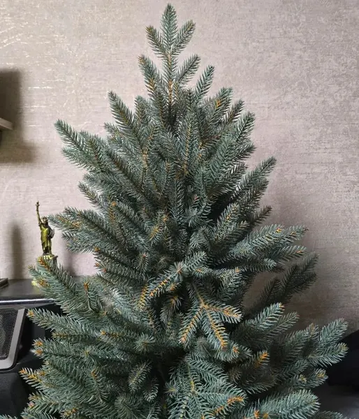 Изображение товара Ель искусственная National Tree Company Рождественская Премиум 90см / РД/ПР-ГЛ-90 (голубой)