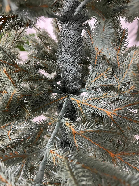 Изображение товара Ель искусственная National Tree Company Форест 210см / ФОР/ГЛ-210 (голубой)