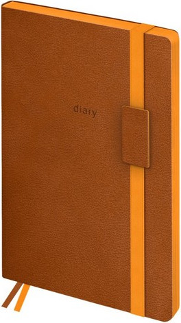 Изображение товара Ежедневник BG Personality. Brown B5 / DuB5_25825 (136л)
