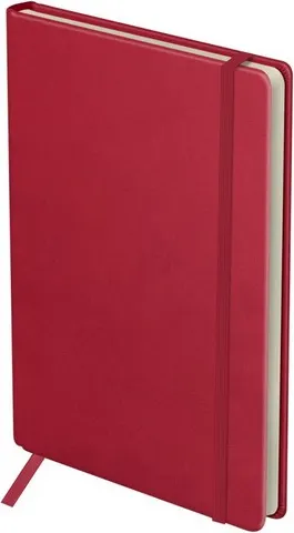 Изображение товара Ежедневник BG Bright. Berry B5 / DuB5_20232 (136л)