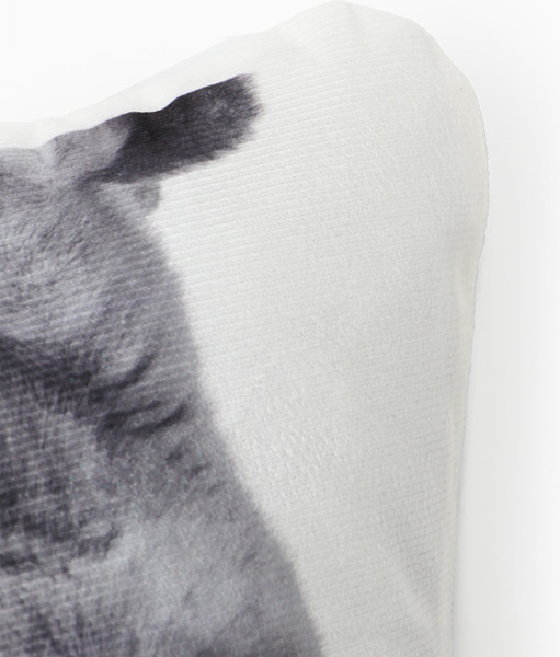 Изображение товара Подушка декоративная Этель Cat family / 10864246