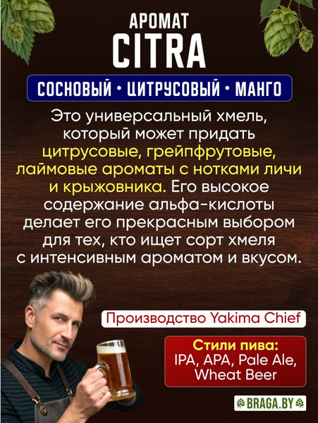 Изображение товара Хмель BRAGA.BY Citra Урожай 2024 (50г)