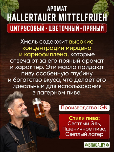 Изображение товара Хмель BRAGA.BY Hallertau Mittelfruh Урожай 2024 (50г)