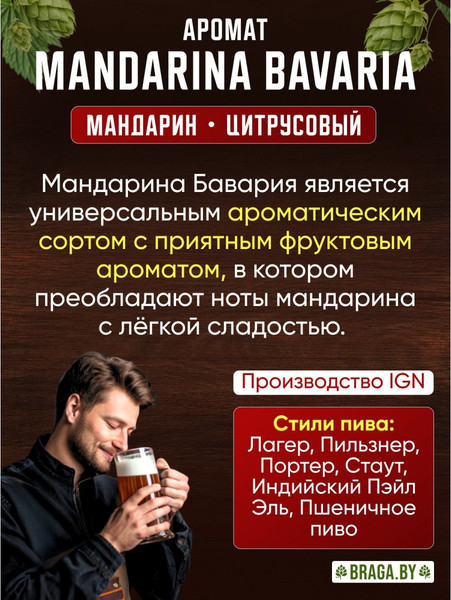 Изображение товара Хмель BRAGA.BY Mandarina Bavaria Урожай 2024 (50г)