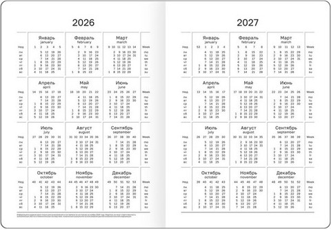 Изображение товара Ежедневник BG Monochrome. Mauve А6 / DdА6_09622 