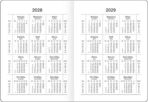 Изображение товара Ежедневник BG Monochrome. Mulberry А6 / DdА6_09624 