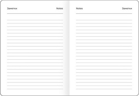 Изображение товара Ежедневник BG Monochrome. Mulberry А6 / DdА6_09624 