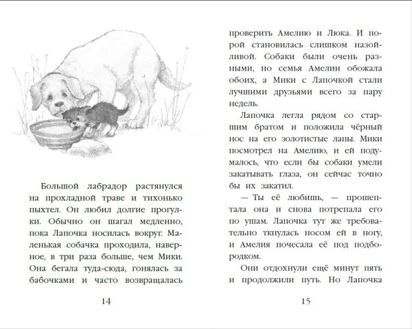 Изображение товара Художественная книга Эксмо Щенок Лапочка, или Невероятное возвращение (Вебб Холли 9785042104282)