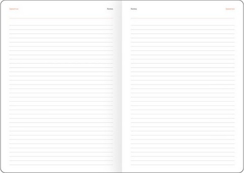 Изображение товара Ежедневник BG  Орел 2026г А4 / DdА4_09306 (176л)