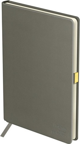 Изображение товара Ежедневник BG Visvim. Grey А5 / DuA5_22789 (136л)