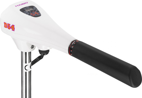 Изображение товара Мотор лодочный Haibo D54