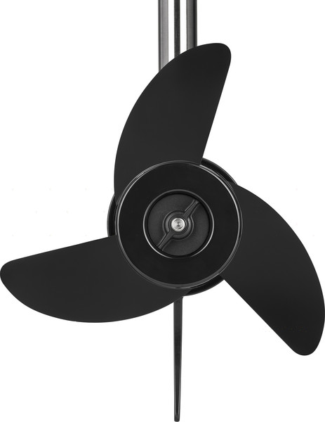 Изображение товара Мотор лодочный Haibo D54