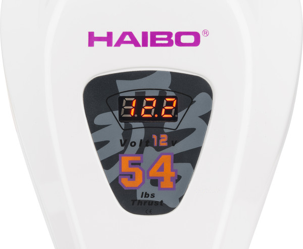 Изображение товара Мотор лодочный Haibo D54