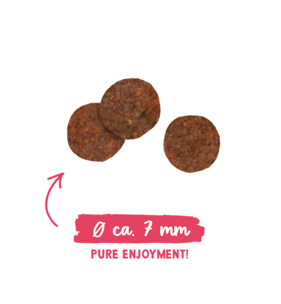 Изображение товара Сухой корм для кошек Bosch Petfood Sanabelle Adult Poultry New (2кг)